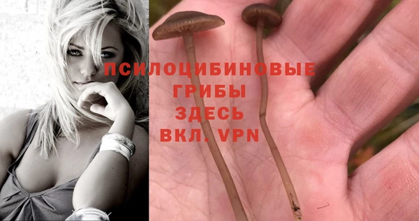 PSILOCYBIN Алексин