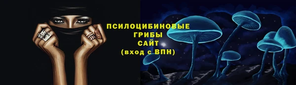 apvp Алексеевка