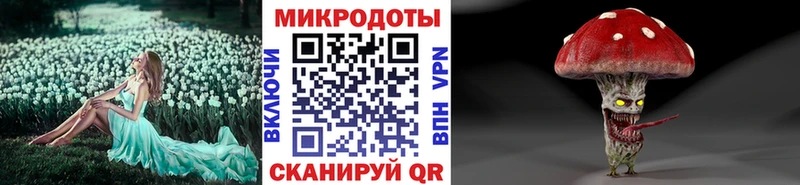 как найти Аргун Псилоцибиновые грибы прущие грибы